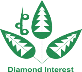 malaysia diamond interest